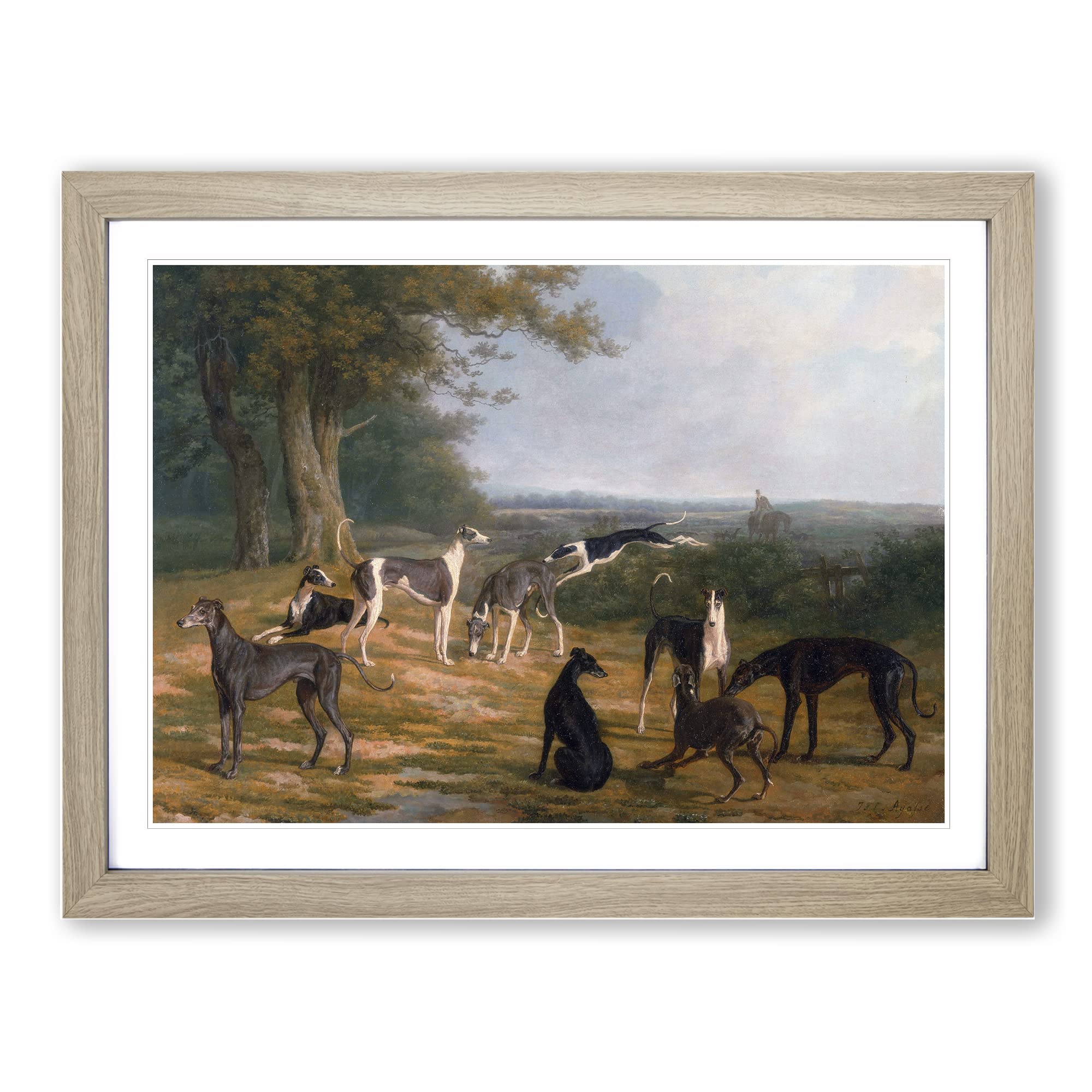 Jacques Laurent Agasse Greyhounds Classic Painting Framed Print | A4 Oak Framed Wall Art | Ready to Hang | Classic Historical Picture | Living Room Bedroom Lounge Office