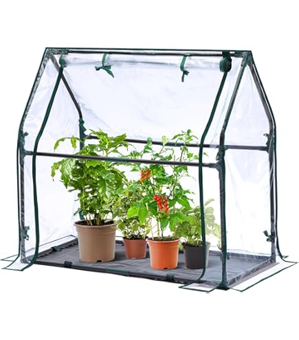 その他 SRL . MINI GREENHOUSE 71D3t9lmV2L._AC_SY200_QL15_.jpg