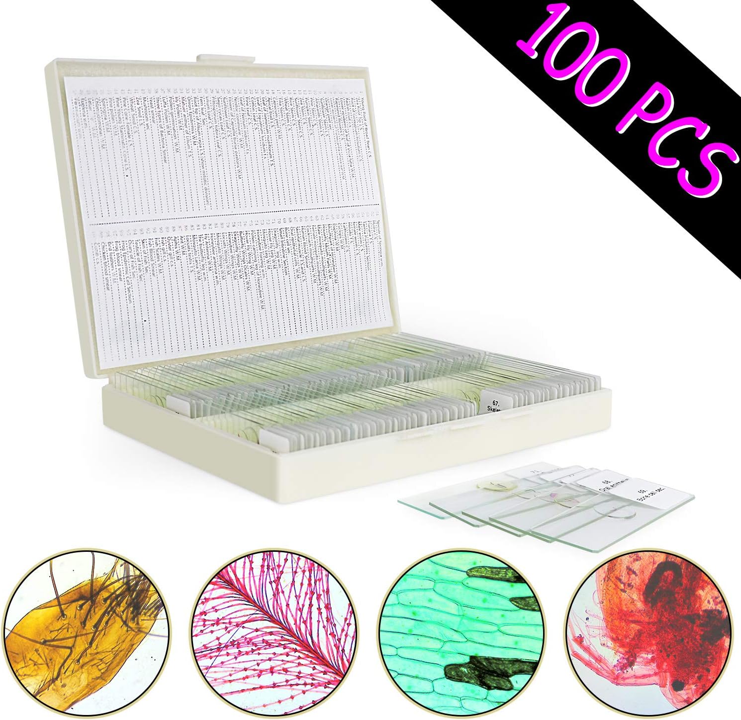 100 pcs Microscope Slides Prepared with Biological Amazon.co.uk