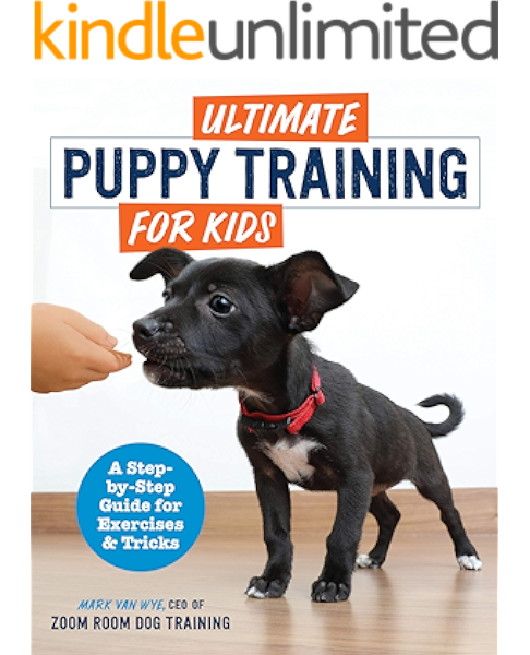 take the lead dog training