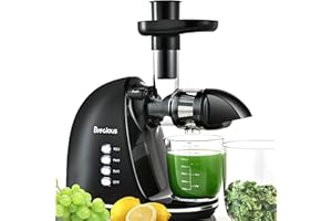 Brecious Slow Masticating Juicer,Cold Press Juicer with 2 Speed Modes & Quiet Motor,Juicer Machines Vegetable and Fruit with 