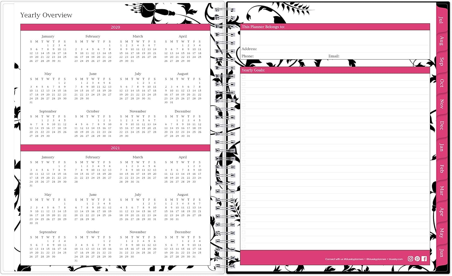 Blue Sky 2020-2021 Academic Year Weekly & Monthly Planner, Flexible Cover, Twin-Wire Binding, 8.5" x 11", Analeis : Office Products