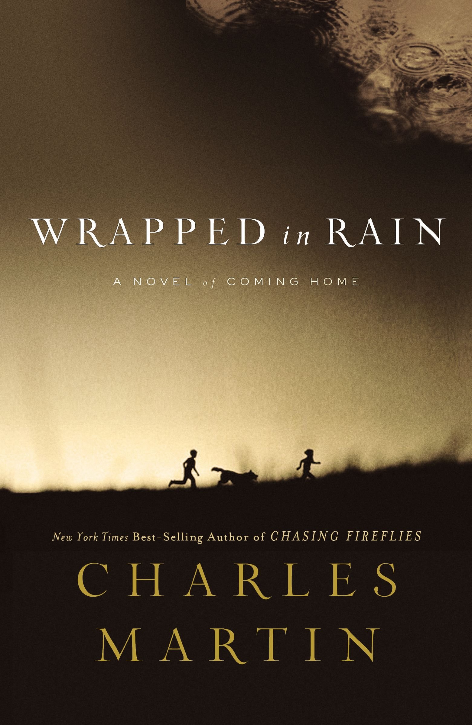 Amazon Com Wrapped In Rain A Novel 9781401685249 Martin Charles Books
