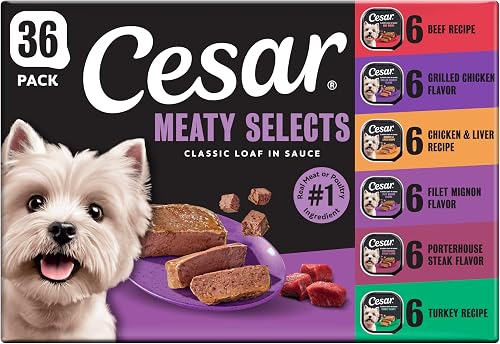 Cesar comida húmeda para perros, Classic Loaf en salsa, paquete variado — Comida para perros