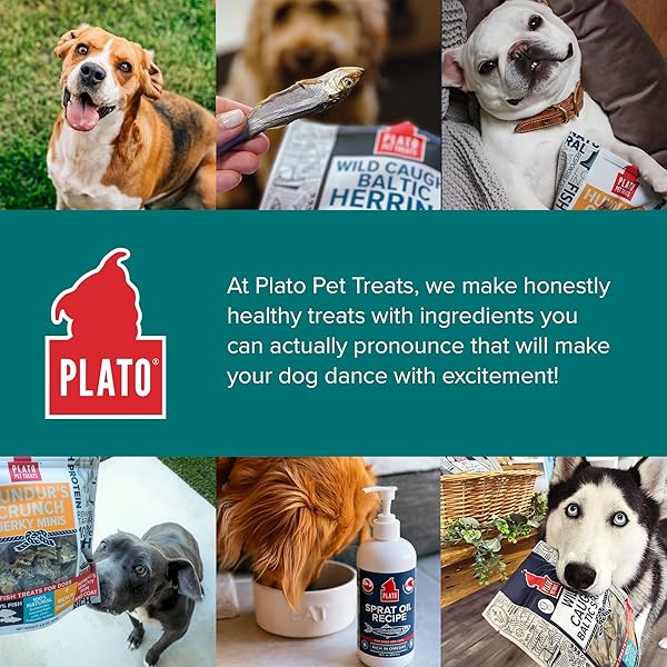 PLATO PET TREATS FISH DOG TREATS – AIR-DRIED, SINGLE INGREDIENT DOG TREAT – WITH OMEGA 3 & 6 FATTY ACIDS TO SUPPORT SKIN AND COAT – 100% WHOLE FISH – WILD CAUGHT BALTIC HERRING DOG TREATS – 8.5 OZ