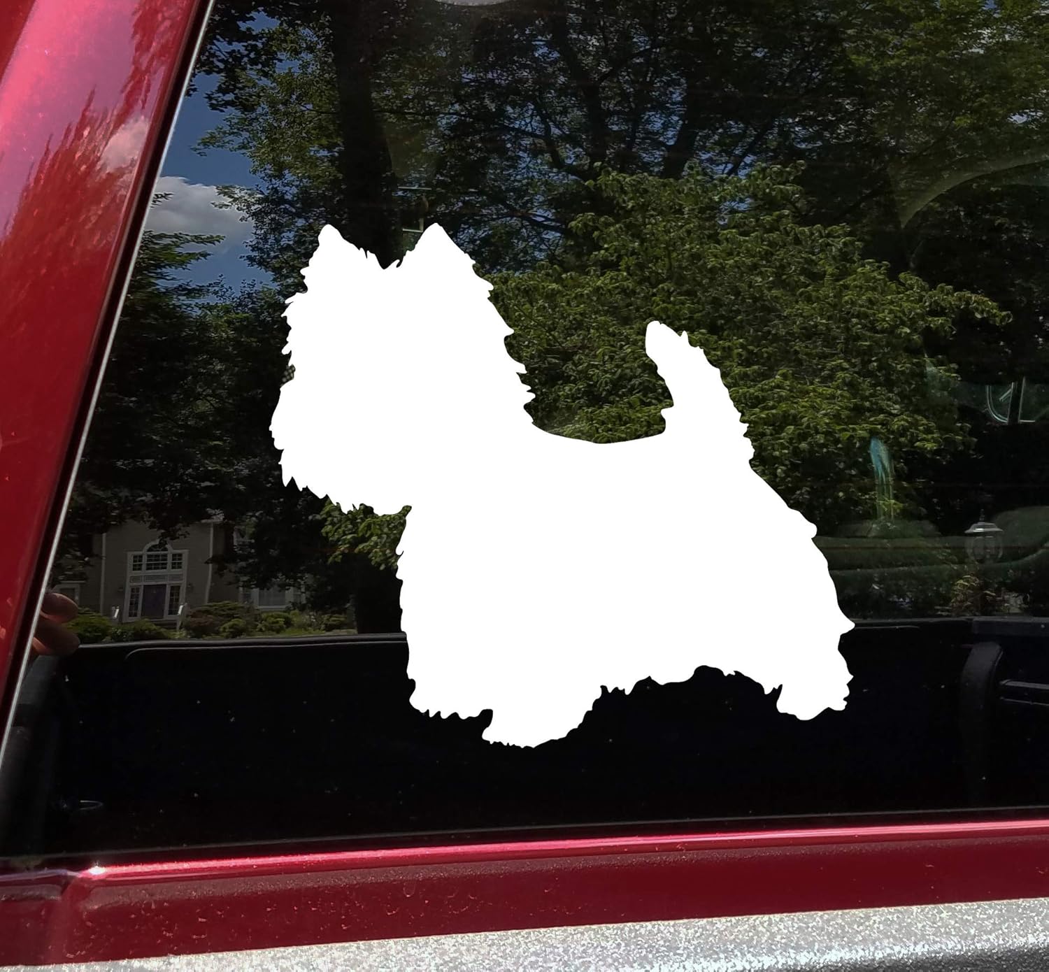 what do westies die from