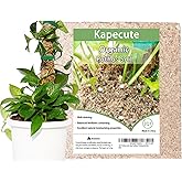 Kapecute 2QT Pothos Soil, Ideal Soilless Potting Soil Mix for All Indoor Plants That Require Constant Humidity and Fast Drain