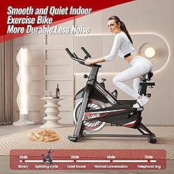 MGDYSS Exercise Bike-Stationary Bikes Indoor