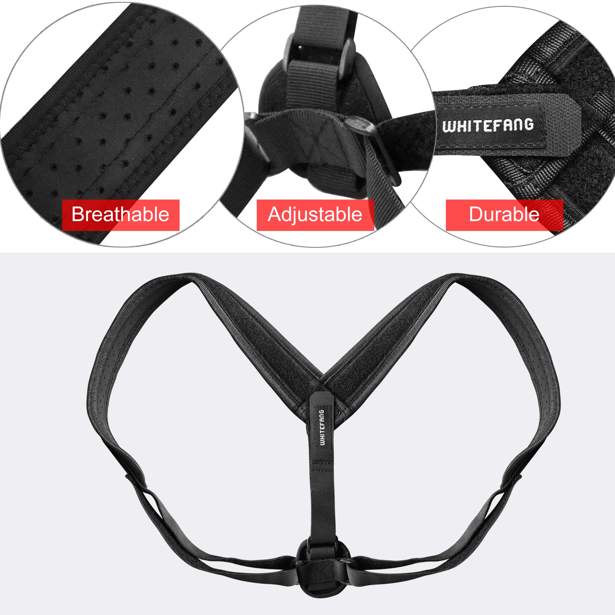 Back Support Posture Corrector for Women and Men,Adjustable Posture Corrector Back Brace Support Belt Lumbar Waist Shoulder Corset Spine Support Posture Correction (Normal)