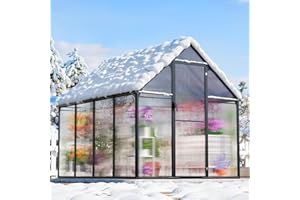 CDCASA 8.2x6.2 FT Greenhouse for Outdoors, Easy Assembly Aluminum Heavy Duty Polycarbonate Greenhouses w/Vent Window, Swing Door, Walk-in Green House for Sunroom Patio, Backyard, Garden,Black