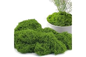Potanro Faux Green Moss 5.3oz Artificial Fake Plant Moss for Potted Plants Indoor, Crafts, Planters, Bonsai Artifcial, DlY Floral Decorative Moss, Fairy Garden Wedding Table Centerpieces Decor