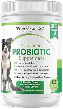 natural prebiotics and probiotics for dogs