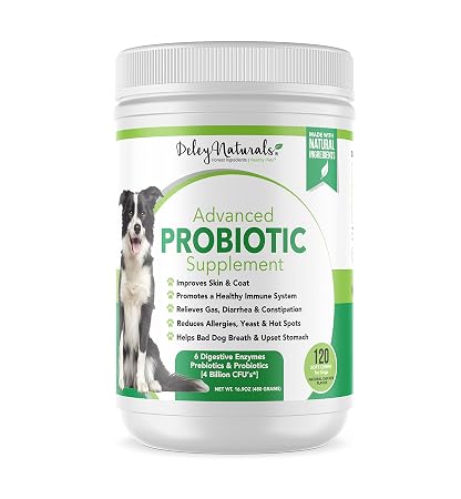 Probiotics For Dogs 4 Billion Cfus Digestive Enzymes Prebiotics Dog Allergies Diarrhea Bad Dog Breath Constipation Gas Yeast Hot Spots