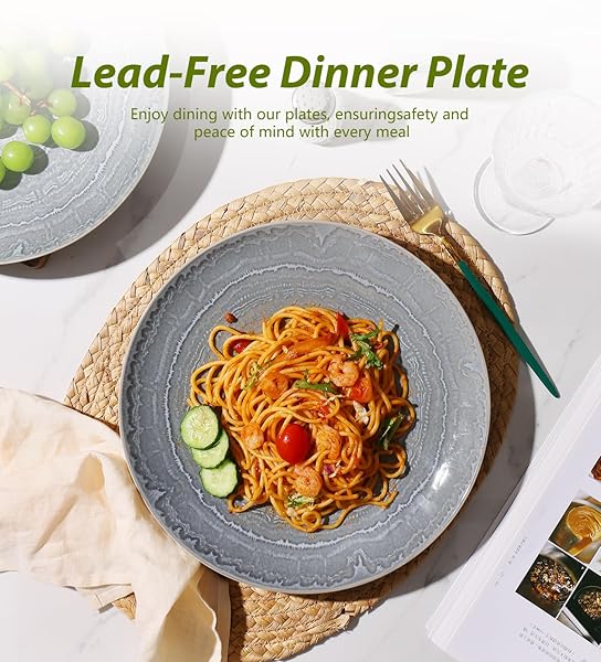 MONITO CERAMIC DINNER PLATES SET OF 6,10.5 INCH REACTIVE GLAZE PORCELAIN PLATES, DINNERWARE DISHES SET FOR KITCHEN,MICROWAVE,DISHWASHER, PSYCHEDELIC GREY