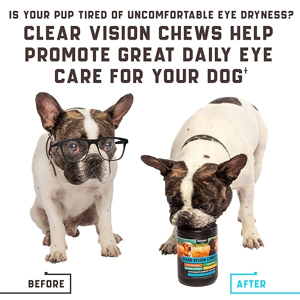 EYE VITAMINS FOR DOG EYE HEALTH & TEAR STAINS – CLEAR VISION SOFT CHEWS FOR DOG EYE CARE & IMMUNE SUPPORT WITH LUTEIN, LYCOPENE, VITAMIN C, CARROT, FISH OIL FOR ALL BREEDS AND AGES – 180CT