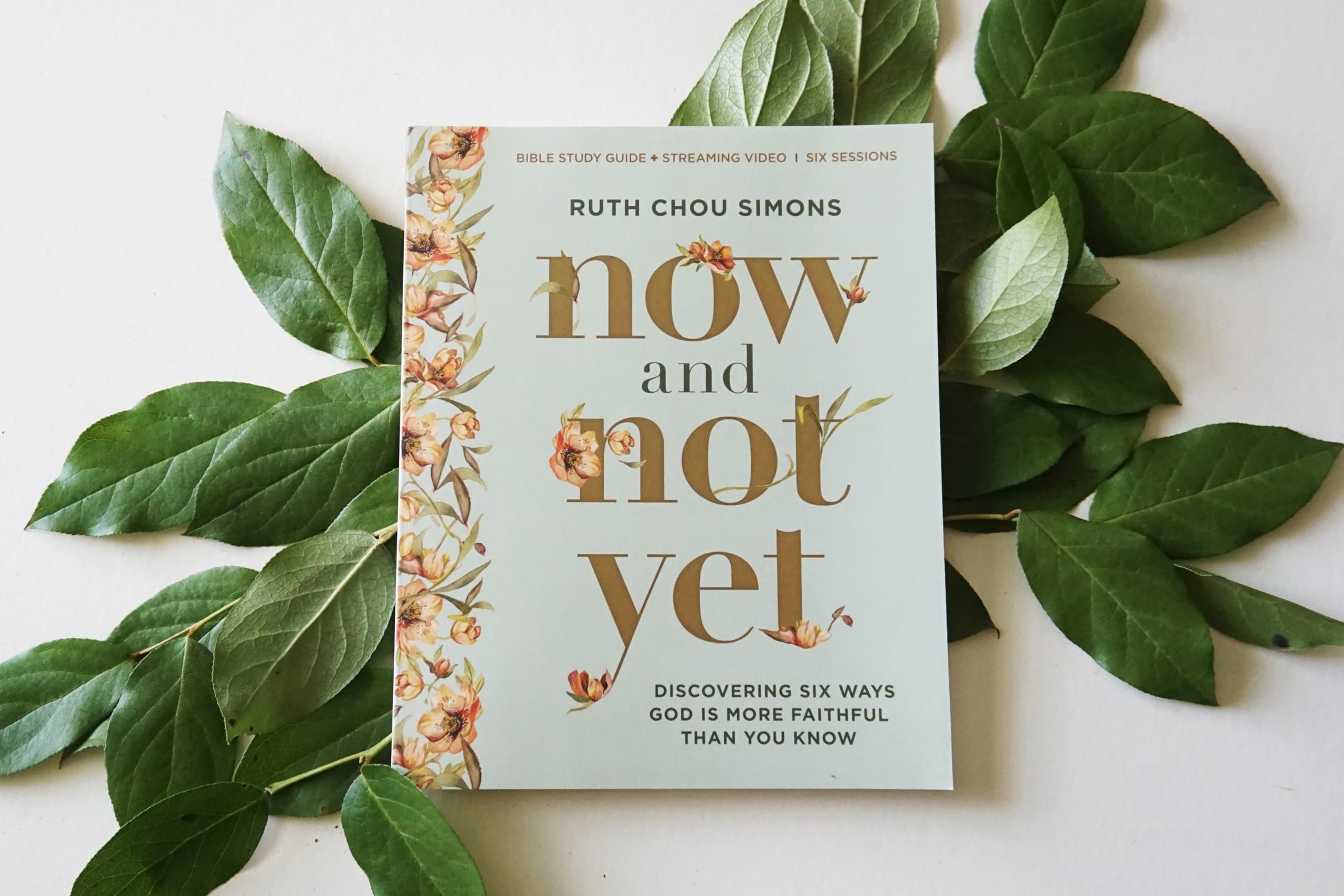 Now and Not Yet Bible Study Guide plus Streaming Video: Discovering Six Ways God Is More Faithful Than You Know