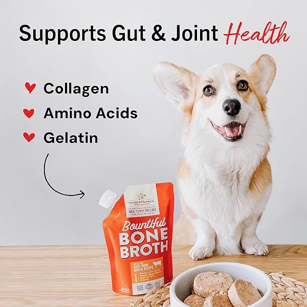 STELLA & CHEWY’S HUMAN-GRADE GRASS-FED BEEF BONE BROTH FOR DOGS – JOINT & GUT HEALTH LIQUID FOOD TOPPER WITH COLLAGEN & TURMERIC, 16 FL OZ RESEALABLE POUCH