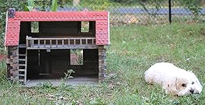 Review Image by Jones&Thedog Jones&Thedog