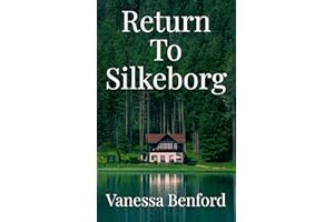 Return to Silkeborg