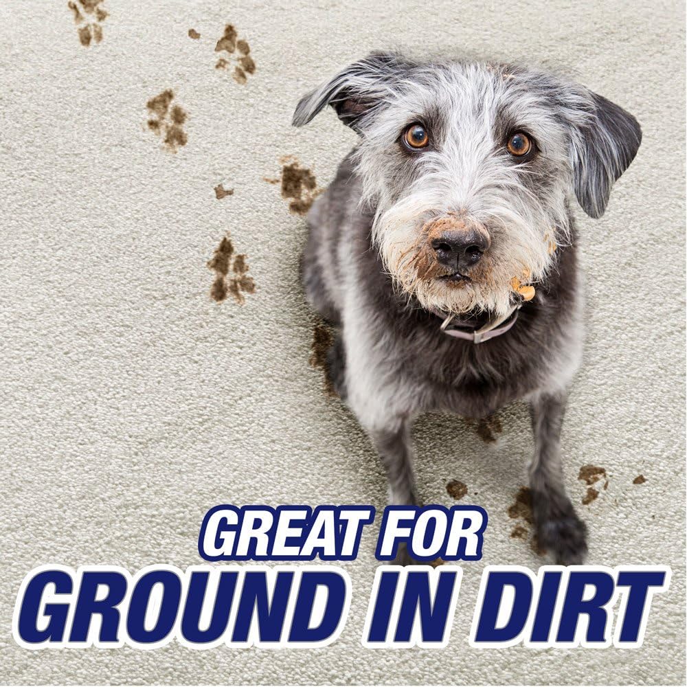 Resolve Pet Carpet Cleaner Powder, For Dirt Stain & Odor Removal: Health & Personal Care