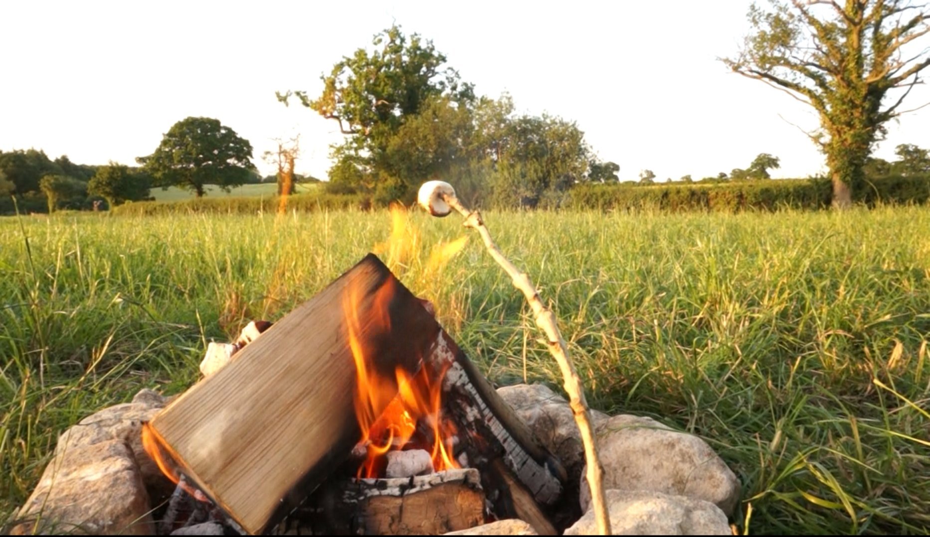 Kiln Dried Ash Firewood Standard Crate Buy Online In Cambodia At Desertcart