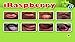 iRaspberry Pro