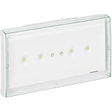 Legrand BAES D'Évacuation ECO1 Standard à LEDs 45lm 1h - Plastique IP43 IK07 SATI Autodiag