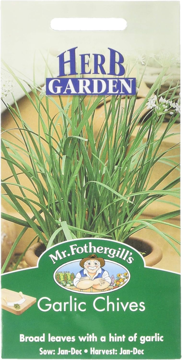 Mr Fothergill's 10464 Herb Seeds, Garlic Chives, Cream, Green