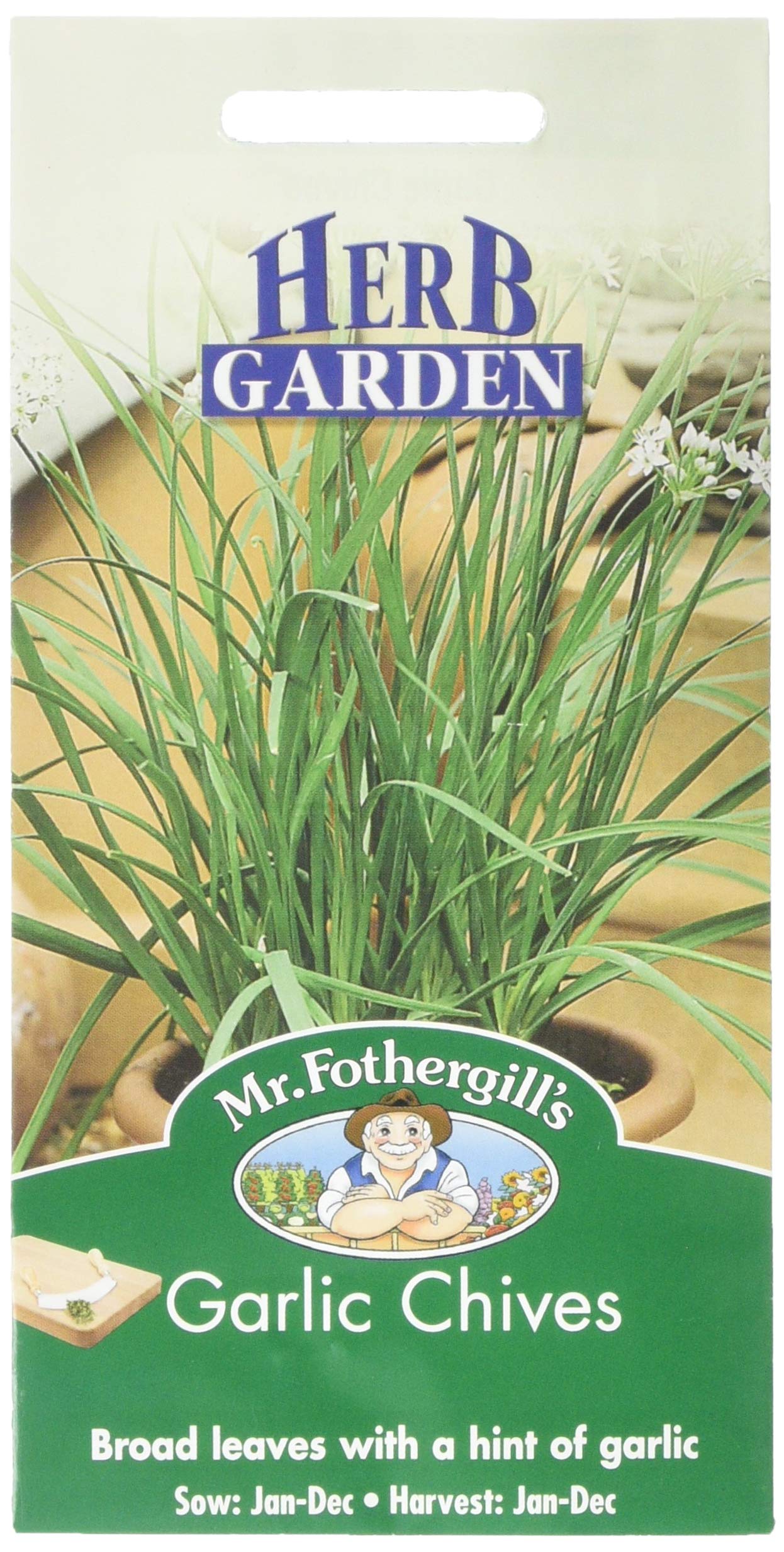 Mr Fothergill's 10464 Herb Seeds, Garlic Chives, Cream