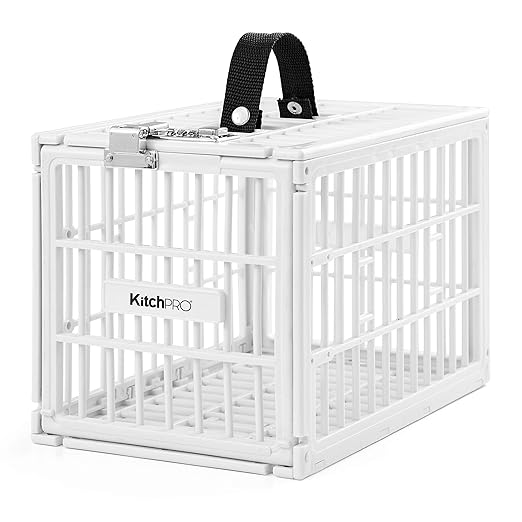 KitchPro seguro para alimentos con cerradura para nevera: Amazon ...