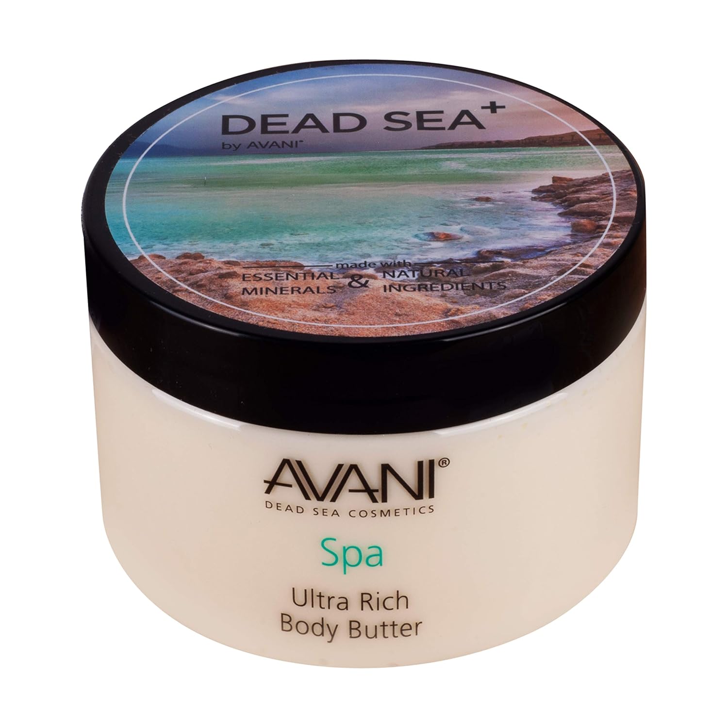 AVANI Classics Ultra Rich Body Butter | Includes Shea Butter, Aloe Vera, & Essential Oils | Leaves Skin Soft & Silky Smooth | Citrus and Vanilla - 9.35 oz. : Beauty
