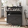 Maupvit Shoe Storage Cabinet with 2 Flip Drawers, Freestanding Organizer with Metal Legs for Entryway, Narrow Shoe Rack Cabinet, Black