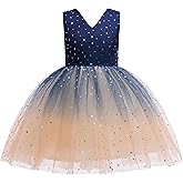 Glamulice Princess Sparkle Tulle Dress Little/Big Girls A Line Bridesmaid Wedding Birthday Party Pageant Tutu Dresses