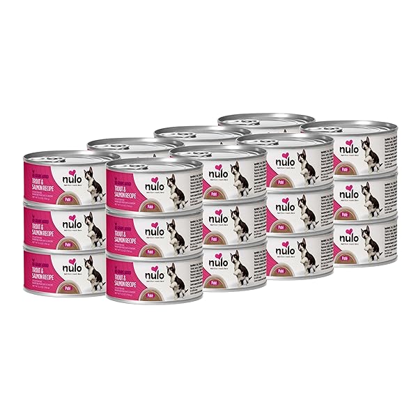 NULO TROUT & SALMON RECIPE PATE WET CANNED...