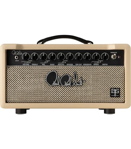 Amazon.com: Hughes & Kettner TubeMeister Deluxe 20-20/5/1-Watt