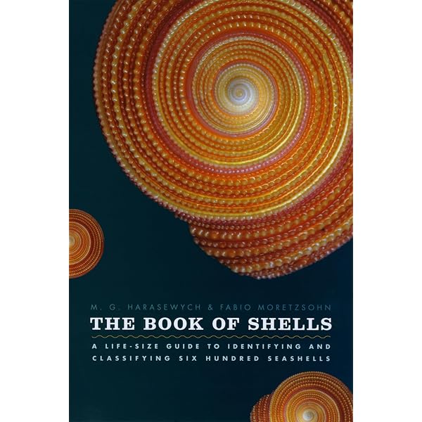 Encyclopedia of Texas Seashells: Identification, Ecology