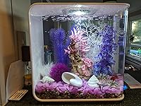 Review Image by Bella Bella