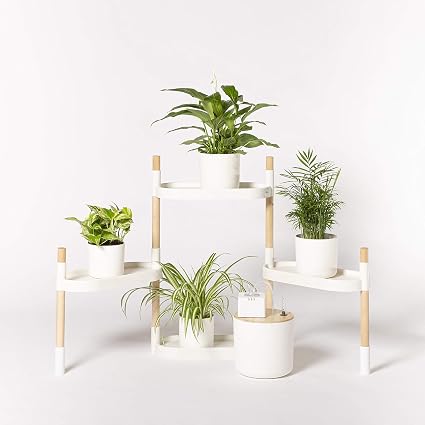 Citysens - Estantería para Plantas con riego automático, Blanca, 4 ...