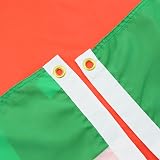 AZ FLAG Suriname Flag 2x3 ft 100D Polyester with 2 Brass Grommets view 2