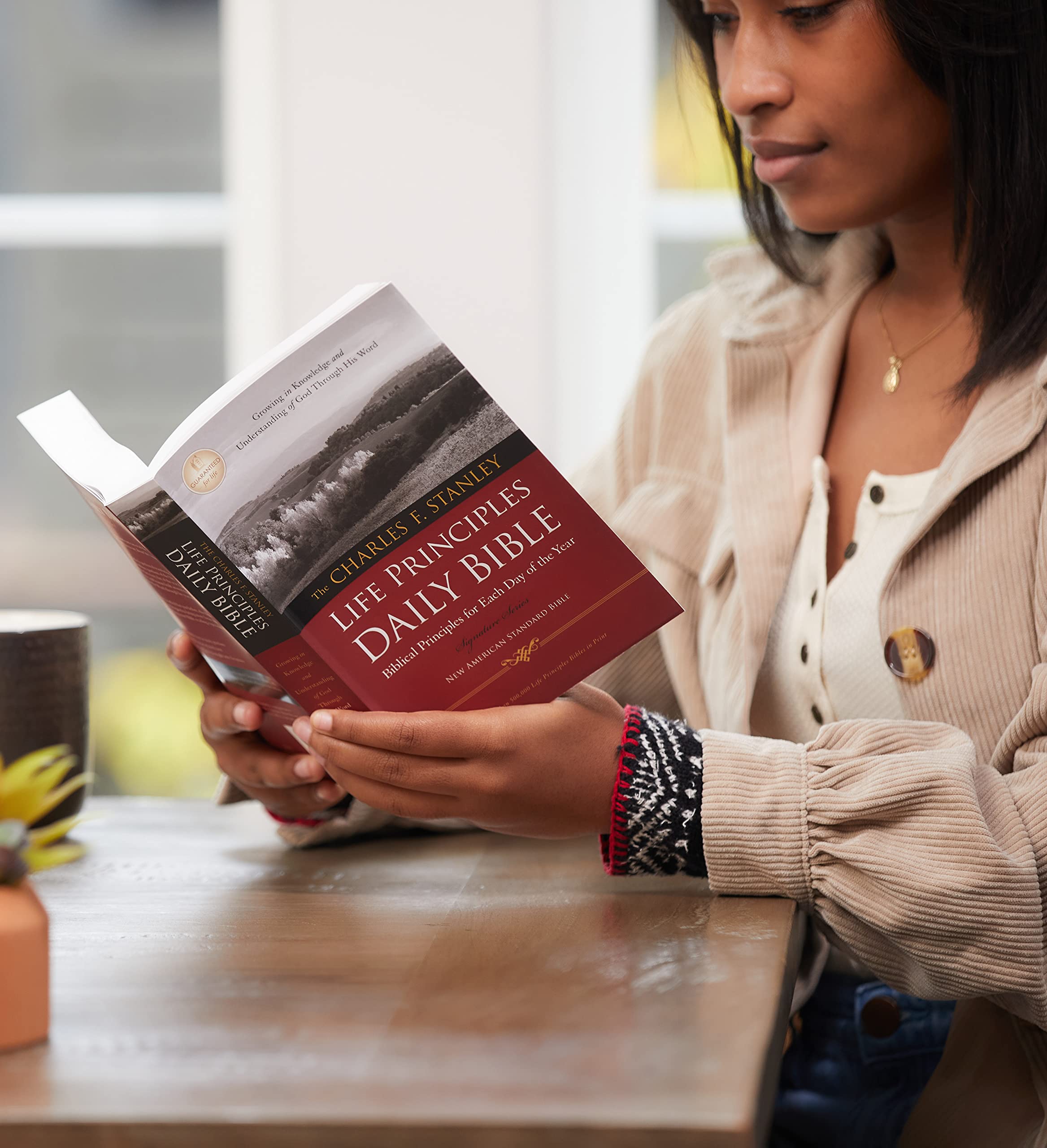 NASB, The Charles F. Stanley Life Principles Daily Bible, Paperback: Holy Bible, New American Standard Bible