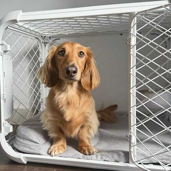 DIGGS EVOLV DOG CRATE – SLIM, DURABLE DOG KENNEL WITH REMOVABLE CEILING PANEL AND MODULAR DESIGN – SAFE, STYLISH, AND CONVENIENT (ASH, SMALL)