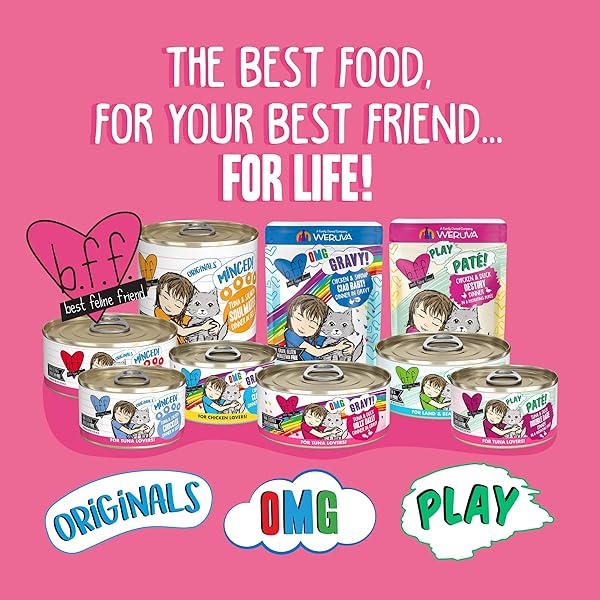 WERUVA B.F.F. OMG – BEST FELINE FRIEND OH MY GRAVY! TUNA & CHICKEN CHARM ME WITH TUNA & CHICKEN IN GRAVY CAT FOOD, 3OZ POUCH (PACK OF 12)