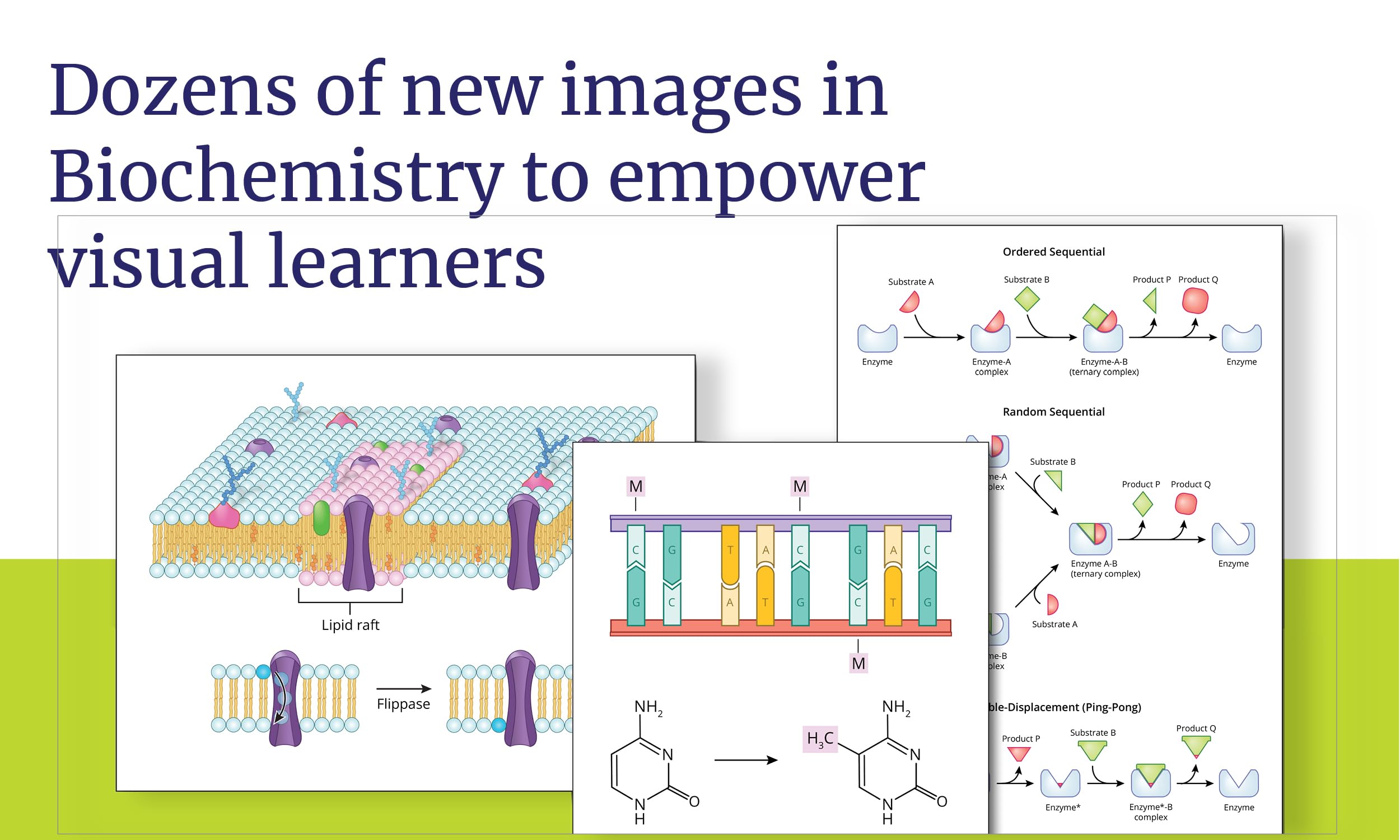 MCAT Complete 7-Book Subject Review 2026-2027, Set Includes Books, Online Prep, 3 Practice Tests (Kaplan Test Prep) MCAT Complete 7-Book Subject Review 2026-2027, Set Includes Books, Online Prep, 3 Practice Tests (Kaplan Test Prep) Paperback