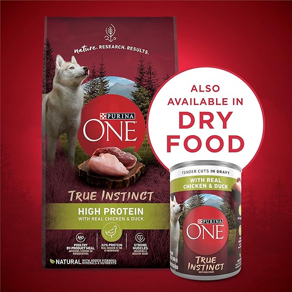 PURINA ONE HIGH PROTEIN WET DOG FOOD TRUE INSTINCT TENDER CUTS IN DOG FOOD GRAVY WITH REAL CHICKEN AND DUCK – (PACK OF 12) 13 OZ. CANS