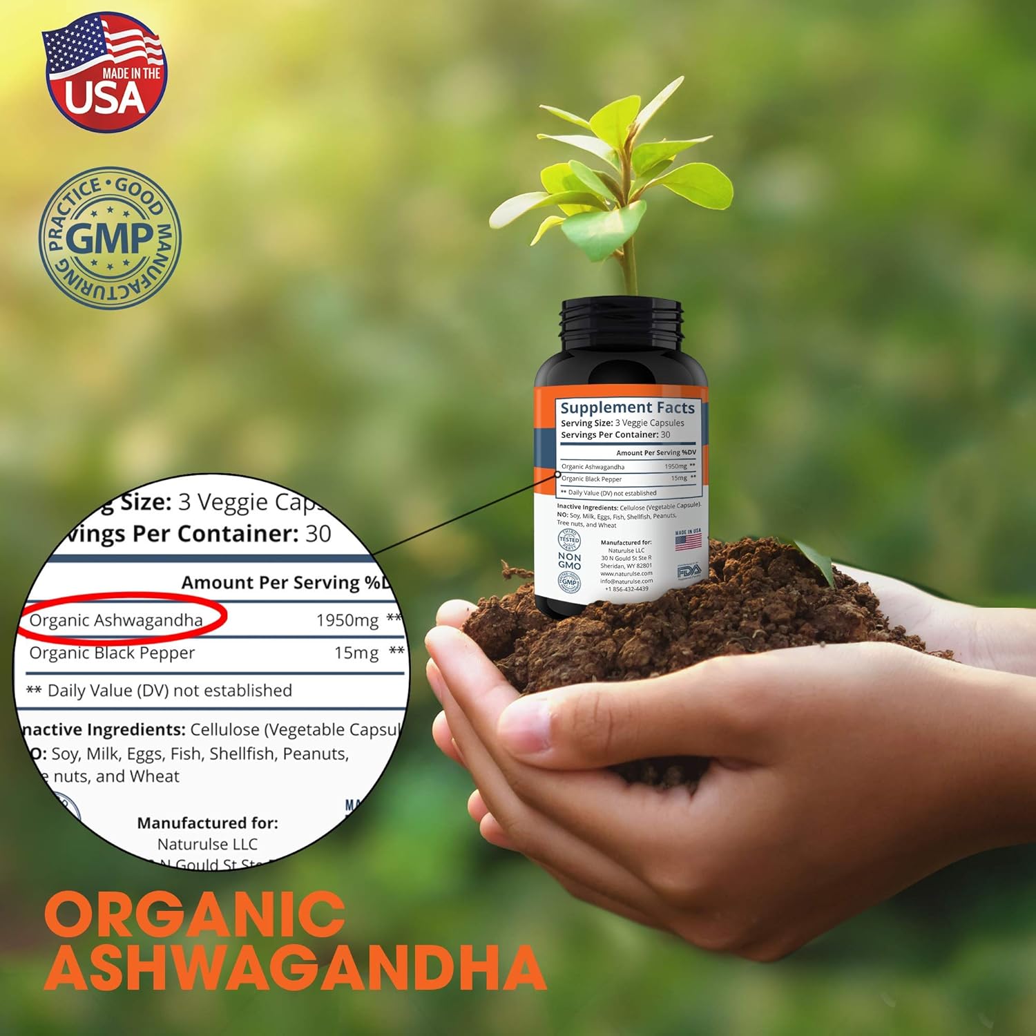 Ashwagandha Organic Capsules 1950mg with Black Pepper - Ashwagandha Extract Root - Stress Relief - Anti Anxiety - Mood Enhancer - Organic Ashwagandha Root Powder Extract - 90 Vegan Capsules: Health & Personal Care