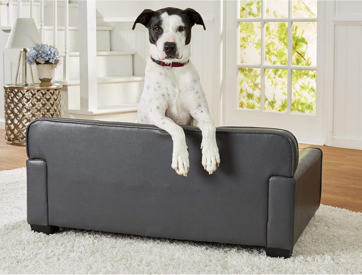 enchanted home pet library sofa dog bed