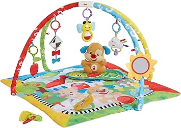 baby learning gym
