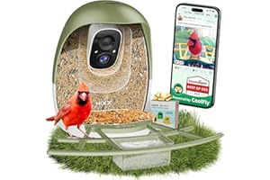 HIXX Bird Feeder with Camera | AI Recognition, Solar-Charged Video Bird Feeder Camera, Auto-Capture Video & Bird Arrival Aler