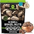 NUT CRAVINGS - Raw Brazil Nuts In Shell - Whole, (48oz - 3 LB) Bulk Nuts Packed Fresh in Resealable Bag - Healthy Protein Food Snack, All Natural, Keto, Vegan, Kosher