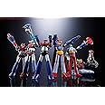 TAMASHII NATIONS - Dynamic Series - GX-XX01 Project XX Weapon Set 01 for D.C., Bandai Spirits Soul of Chogokin Die-Cast Metal Collectible